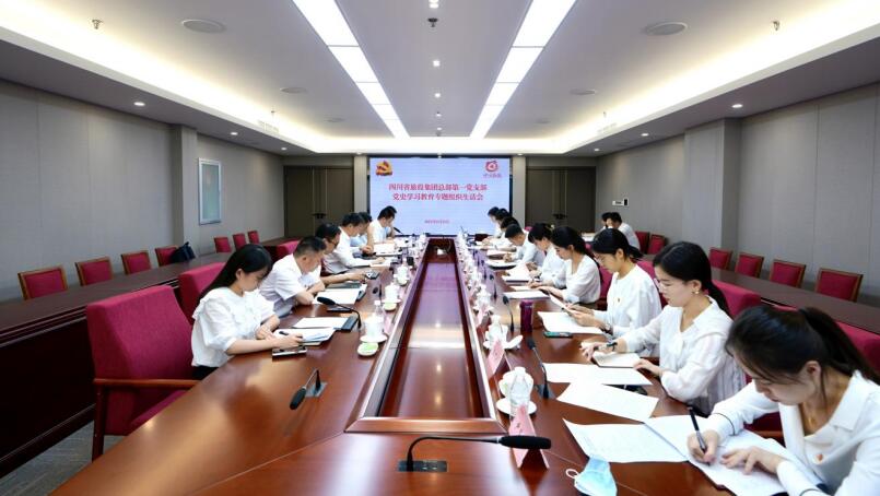 尊龙凯时集团党委书记、董事长任丁参加总部第一党支部党史学习教育专题组织生活会